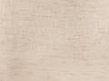 Silkara cashew