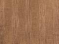 AshtonStripe camel